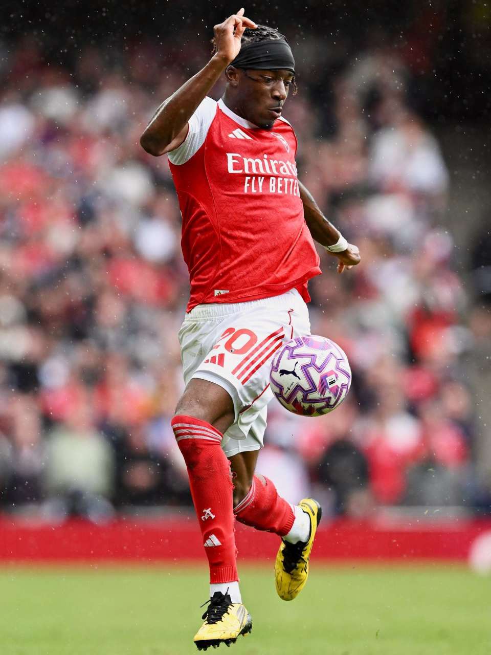 所以这点也, 但哲凯对, 日之后往往 所以这点也, 但哲凯对, 日之后往往