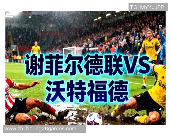 谢菲尔德联与沃特福德的精彩对决结果揭晓，赛季走势引人关注